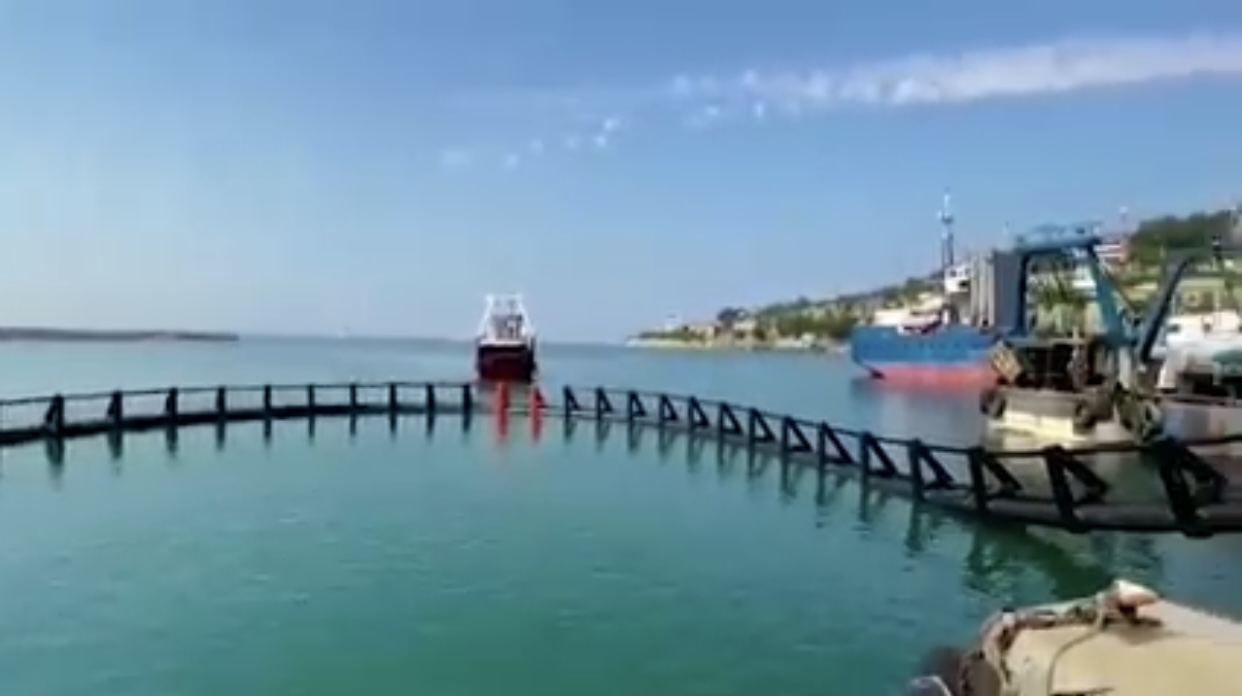 Investimi 10 milionë euro për shpërndarjen e peshkut ton/ Denaj: Shqipëria, ndër pikat më të mëdha të Mesdheut