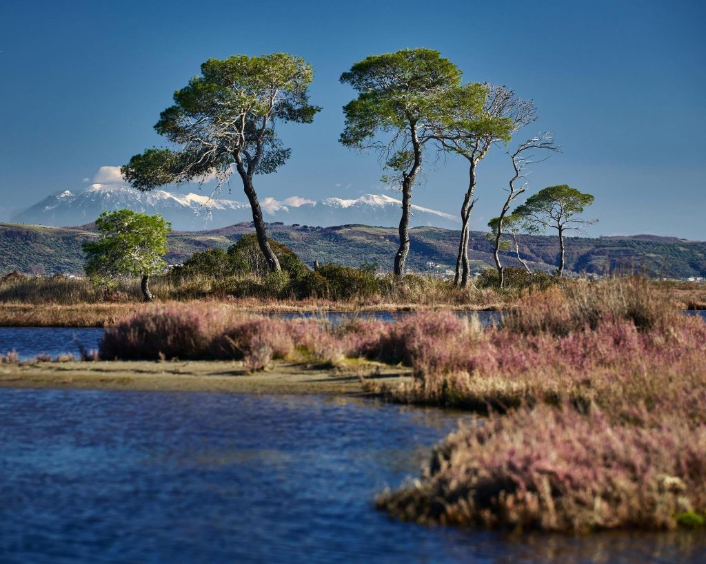 “Wanderlust in Albania 2”, Rama ndan pamje të Lagunës së Karavastasë
