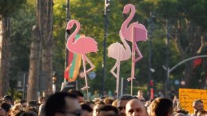 “Flamingo Revolution” dhe metamorfoza e protestës shqiptare