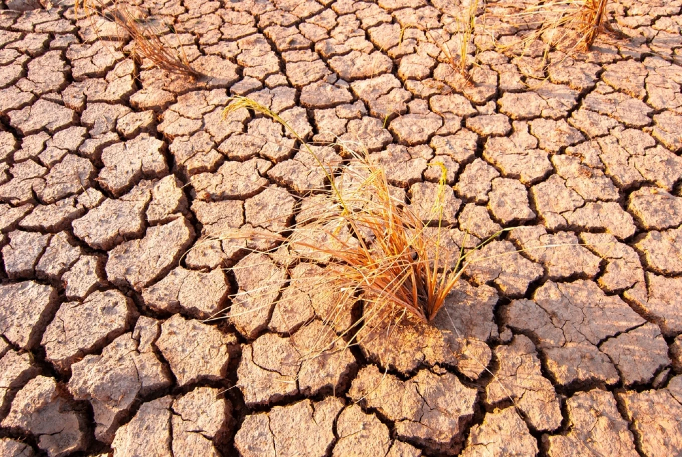 El Niño mund të jetë më i fuqishmi në mbi një shekull, ekspertët: 2027 rrezikon të thyejë rekordin e temperaturave