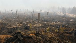 Zjarri masiv në Belgjikë kërcënon Gjermaninë, banorëve u kërkohet të evakuohen
