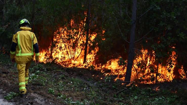 Zjarri masiv në Belgjikë vazhdon të përhapet, katër vende evropiane në ndihmë