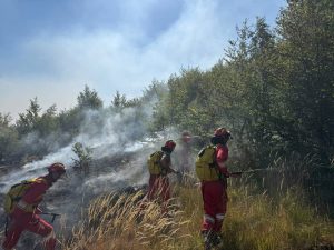 Zjarret në vend, Forcat e Armatosura në terren në Dibër, Pukë dhe Tiranë: Nuk rrezikohen banesat