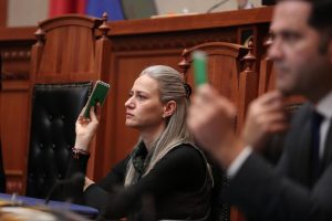 Ismaili: Protesta e studentëve pengmarrje politike nga Berisha