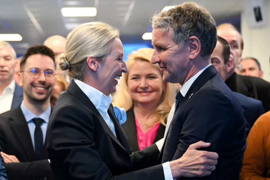 Rrjedhja e emaileve zbulon kthesën e Weidel ndaj Höckes