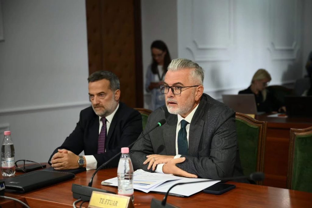 Gogu: Konventa për avokatët garanton mbrojtje të pavarur dhe efektive për qytetarët